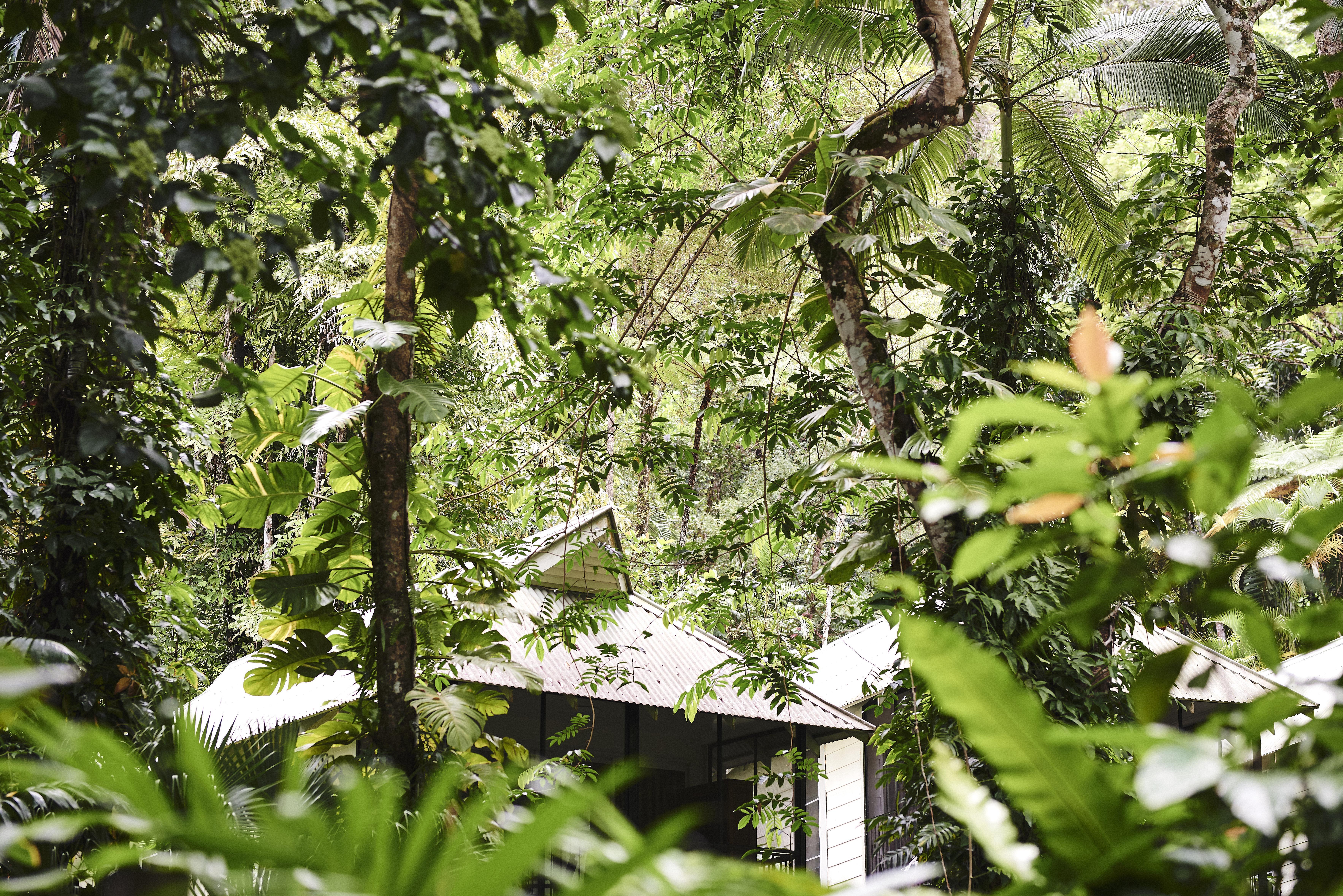 Luxury Rainforest Accommodation North Queensland